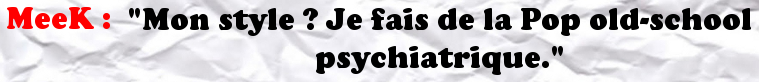 MeeK : "Je fais de la Pop old-school psychiatrique"